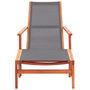 Voir la diapositive 2 : VIDAXL Chaise de jardin et repose-pied Gris Eucalyptus et textilene