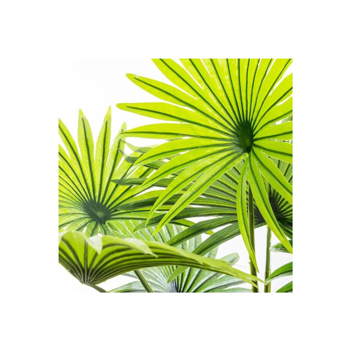 ATMOSPHERA Plante Artificielle en Pot  Palmier  120cm Vert
