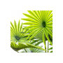 Voir la diapositive 2 : ATMOSPHERA Plante Artificielle en Pot  Palmier  120cm Vert
