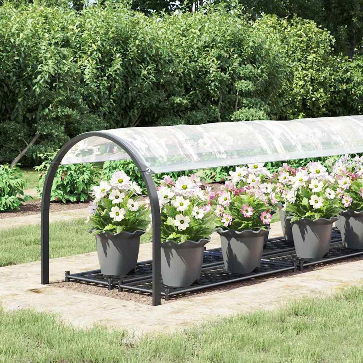 VIDAXL Bache transparente avec œillets 1x5 m polyethylene