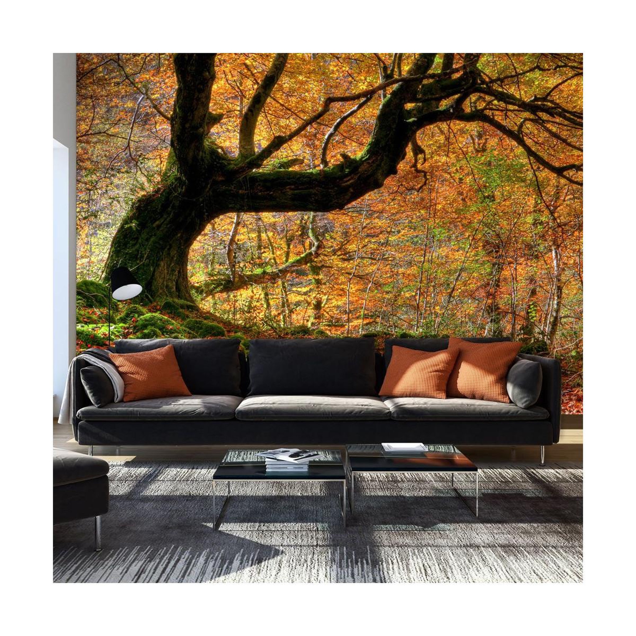 Paris Prix Papier peint  automne, forêt & feuilles  270x450cm