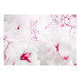 Voir la diapositive 2 : Paris Prix Papier Peint  Enveloped in White