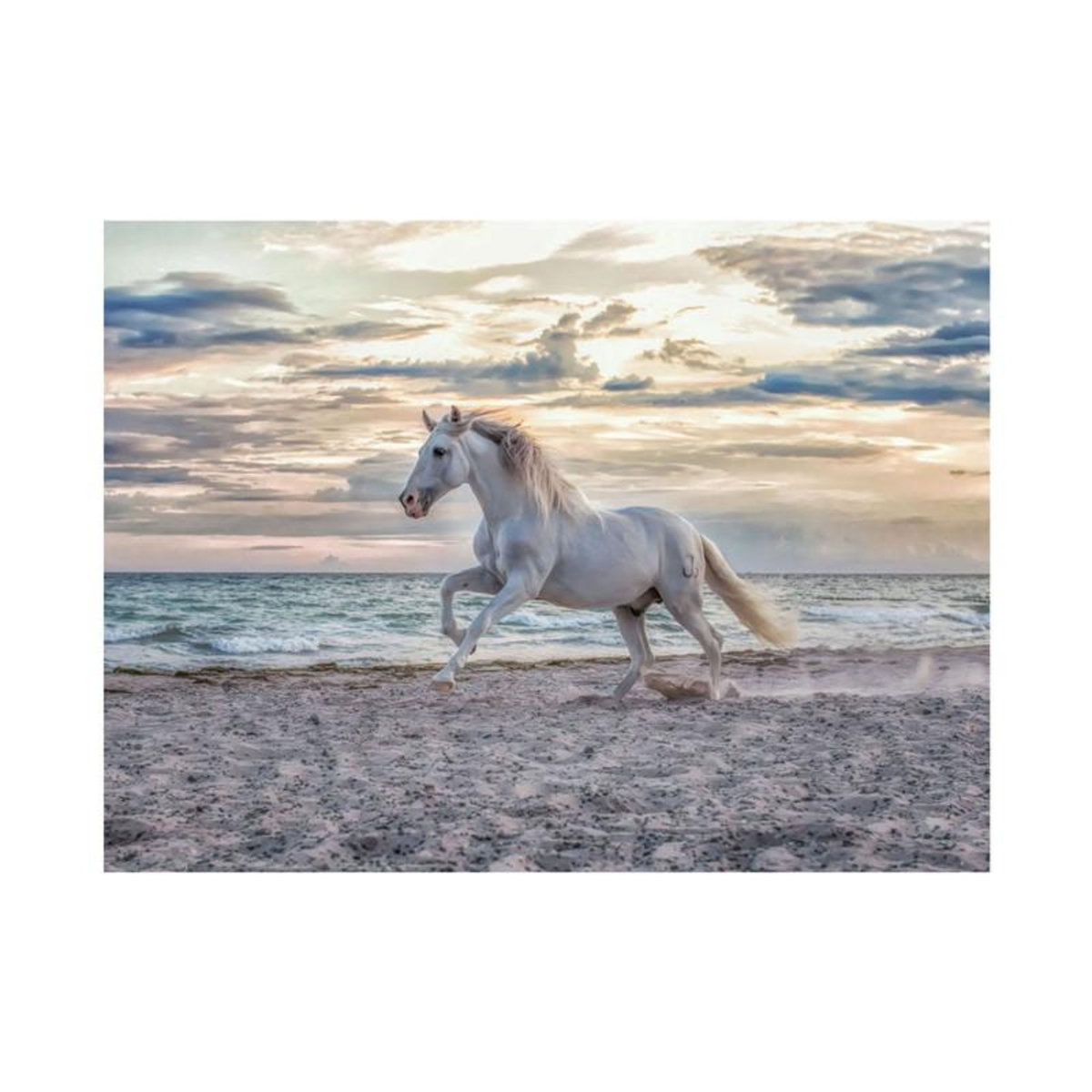 RAVENSBURGER Ravensburger - Jigsaw Puzzle Horse on the Beach, 500pcs. 120002222