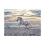 Voir la diapositive 2 : RAVENSBURGER Ravensburger - Jigsaw Puzzle Horse on the Beach, 500pcs. 120002222