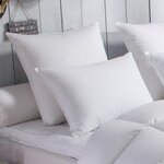 DODO Oreiller 70% Duvet d'Oie MOELLEUX. Coloris disponibles : Blanc