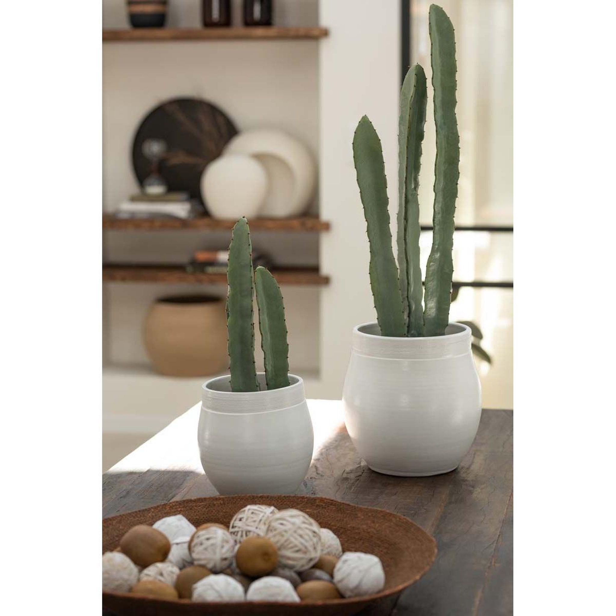 Voir la diapositive 2 : J-LINE Plante artificielle en pot  cactus  81cm vert