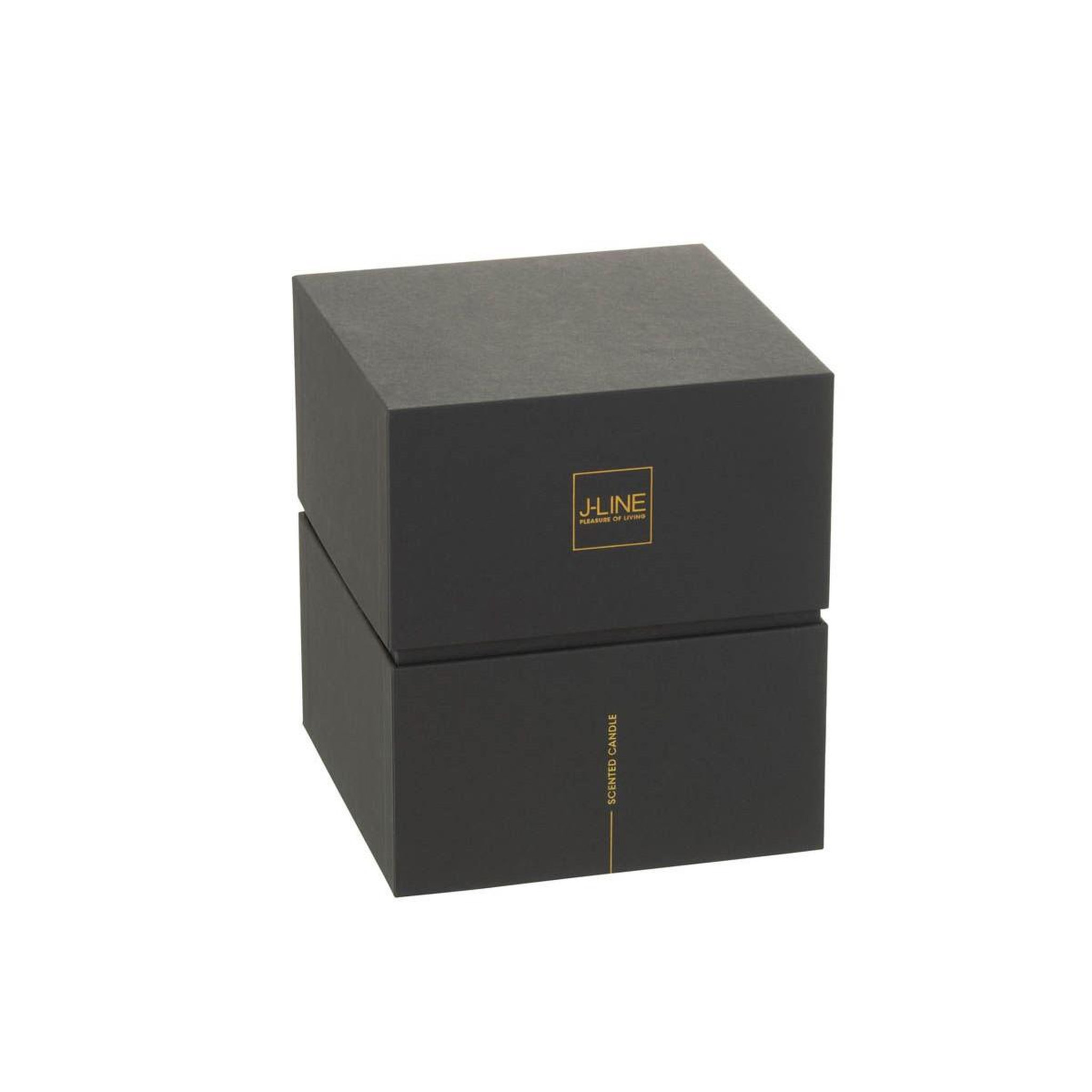 Voir la diapositive 3 : J-LINE Bougie parfumée  noa  20cm bois de santal vert