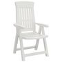 Voir la diapositive 3 : VIDAXL Chaises inclinables de jardin lot de 2 blanc PP