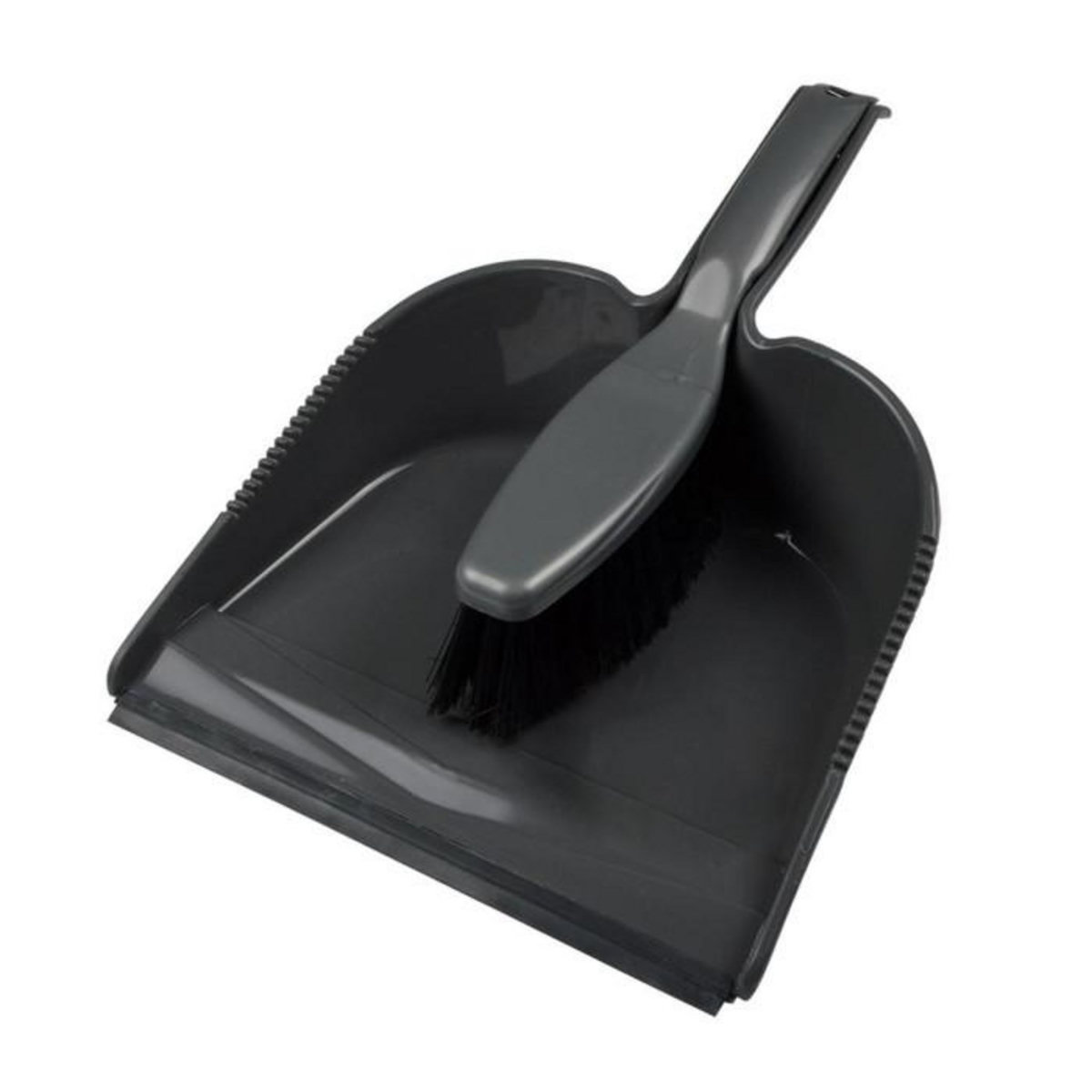 Paris Prix Pelle & Balayette  Recyclé  Gris