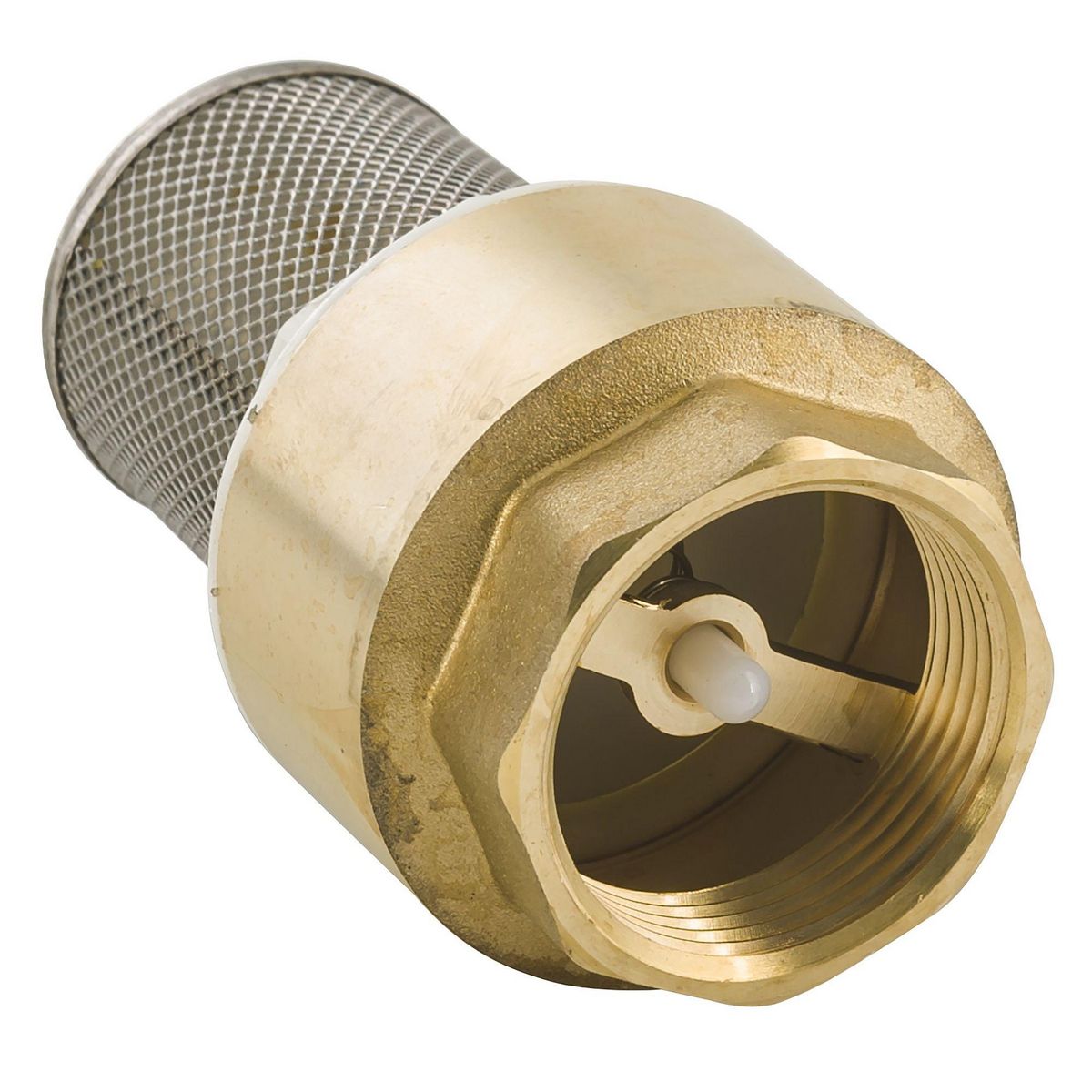 RAIN Crépine femelle en laiton avec clapet et tamis