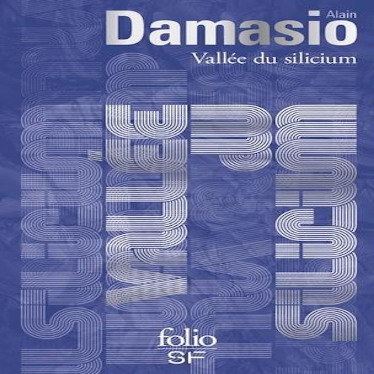 VALLEE DU SILICIUM, Damasio Alain