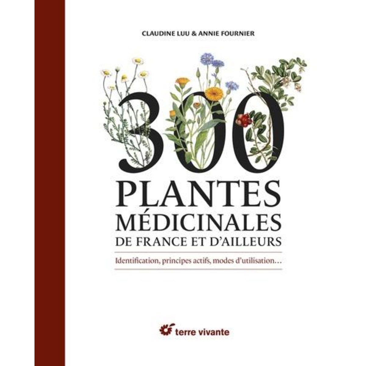 300 PLANTES MEDICINALES DE FRANCE ET D'AILLEURS. IDENTIFICATION, PRINCIPES ACTIFS, MODES D'UTILISATION..., Luu Claudine