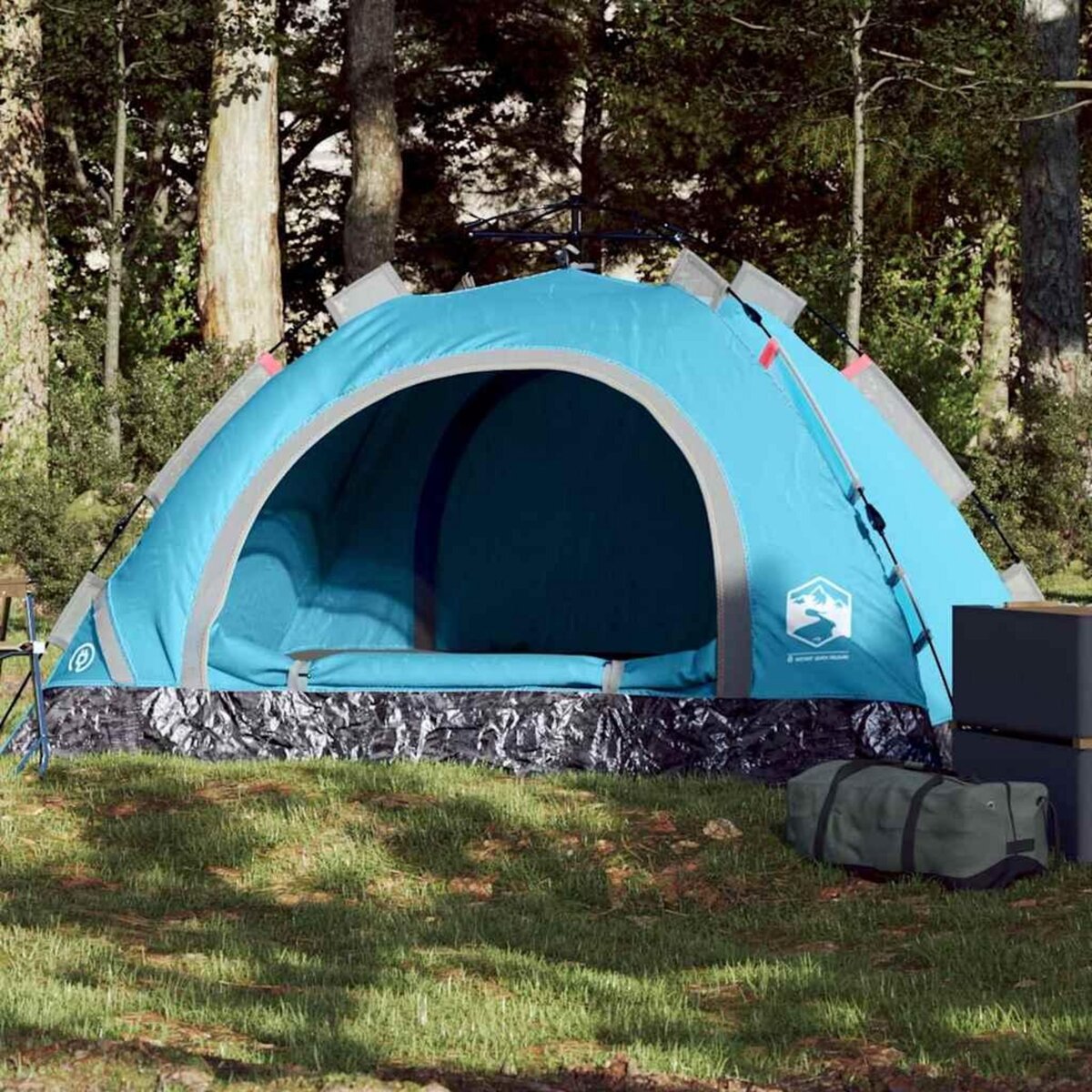 VIDAXL Tente de camping 2 personnes bleu liberation rapide