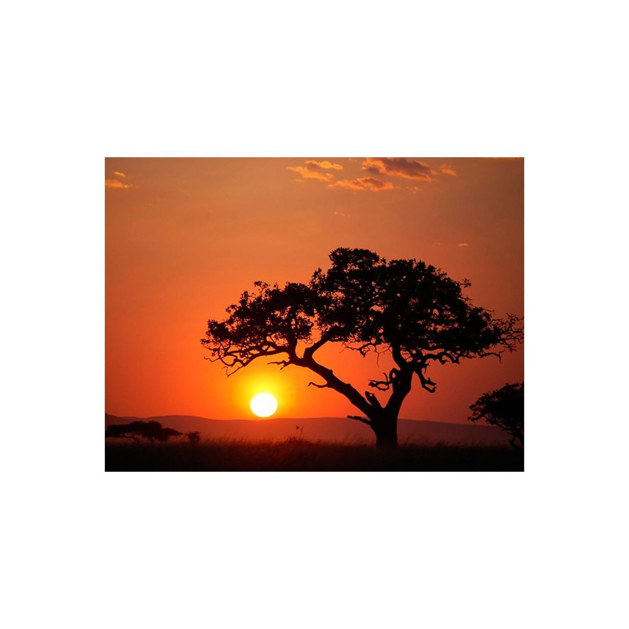 Voir la diapositive 2 : Paris Prix Papier peint  afrique : coucher de soleil