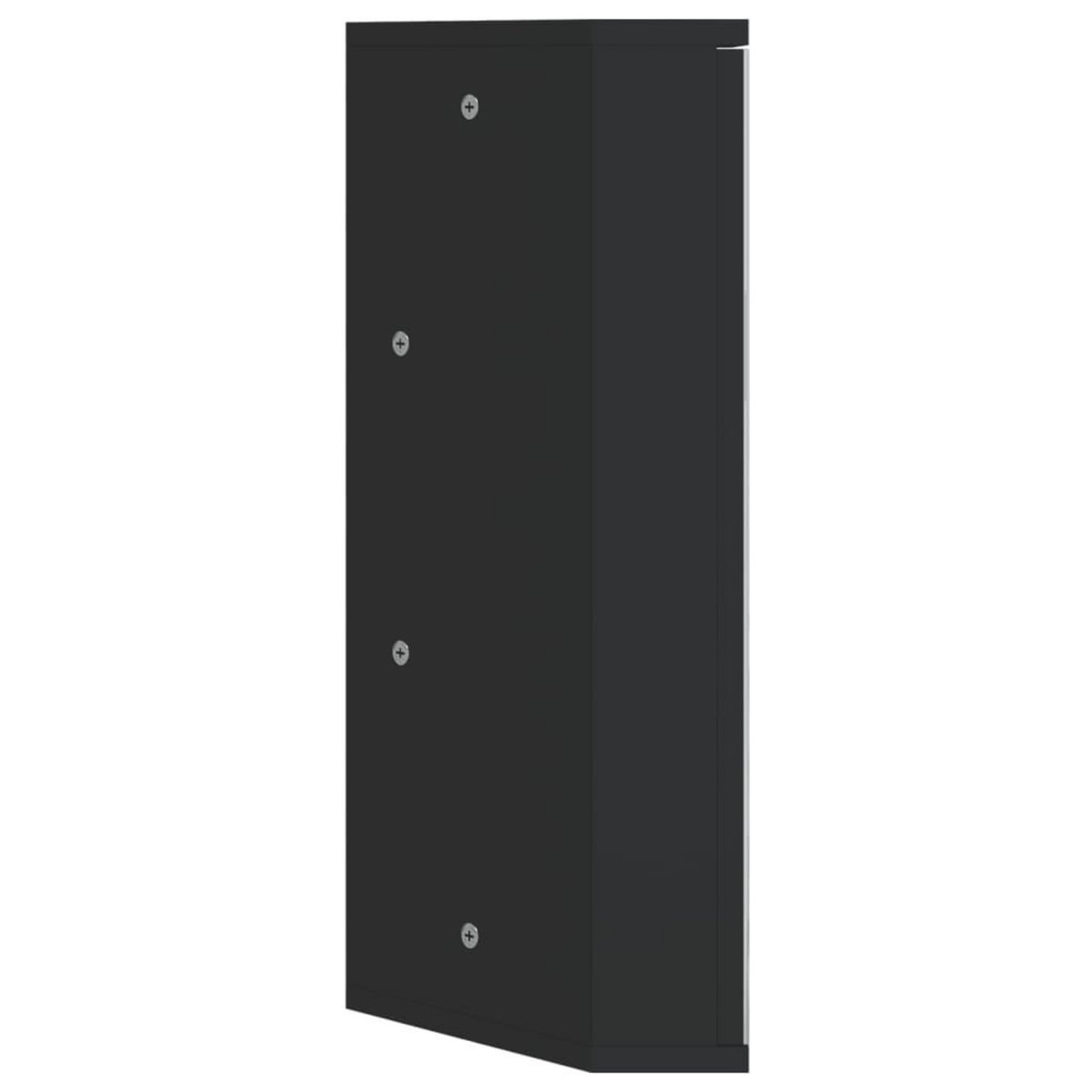 VIDAXL Armoire de bain a miroir d'angle noir 30x24x60 cm