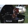 Voir la diapositive 4 : Weber Accessoire barbecue et plancha Weber KIT ALLUMAGE - Cheminée Allumage