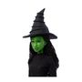 Voir la diapositive 4 : MATTEL Mattel-Wicked-Poupée Elphaba chantante avec habillages et accessoires - Wicked - HYM40