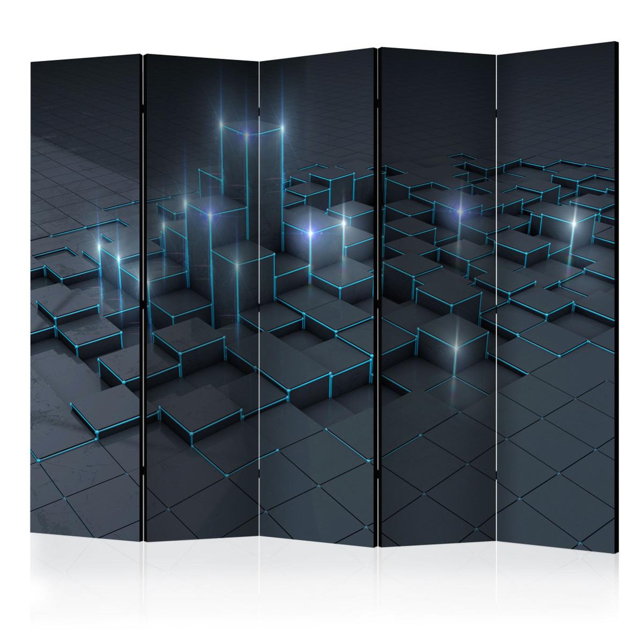 Paris Prix Paravent 5 volets  black city  172x225cm