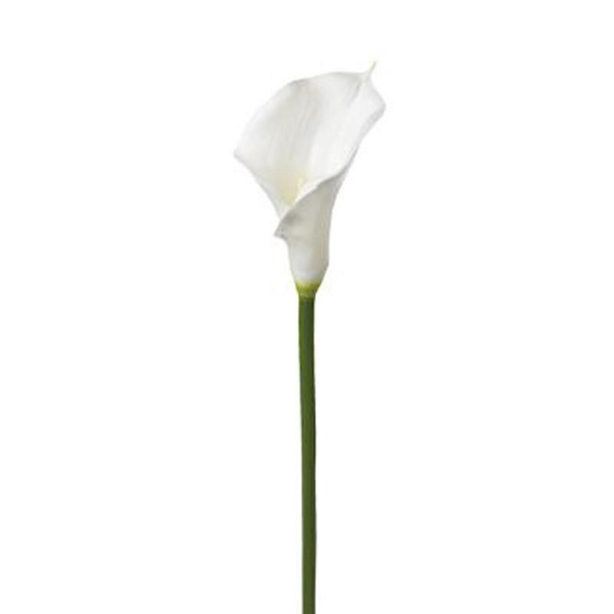  Fleur Artificielle  Arôme  78cm Blanc