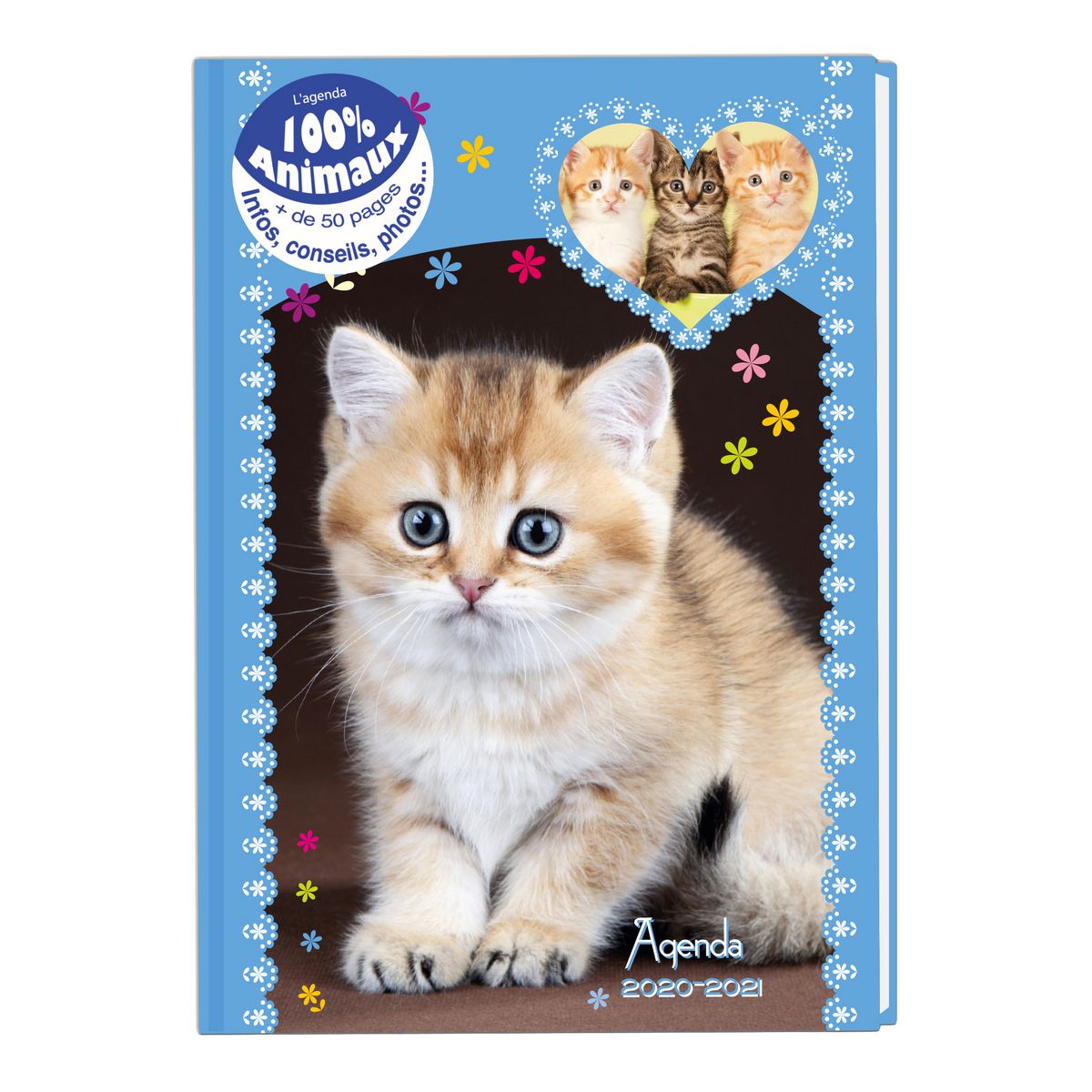 Agenda scolaire journalier 100% Animaux chaton coloris aléatoire 2020-2021