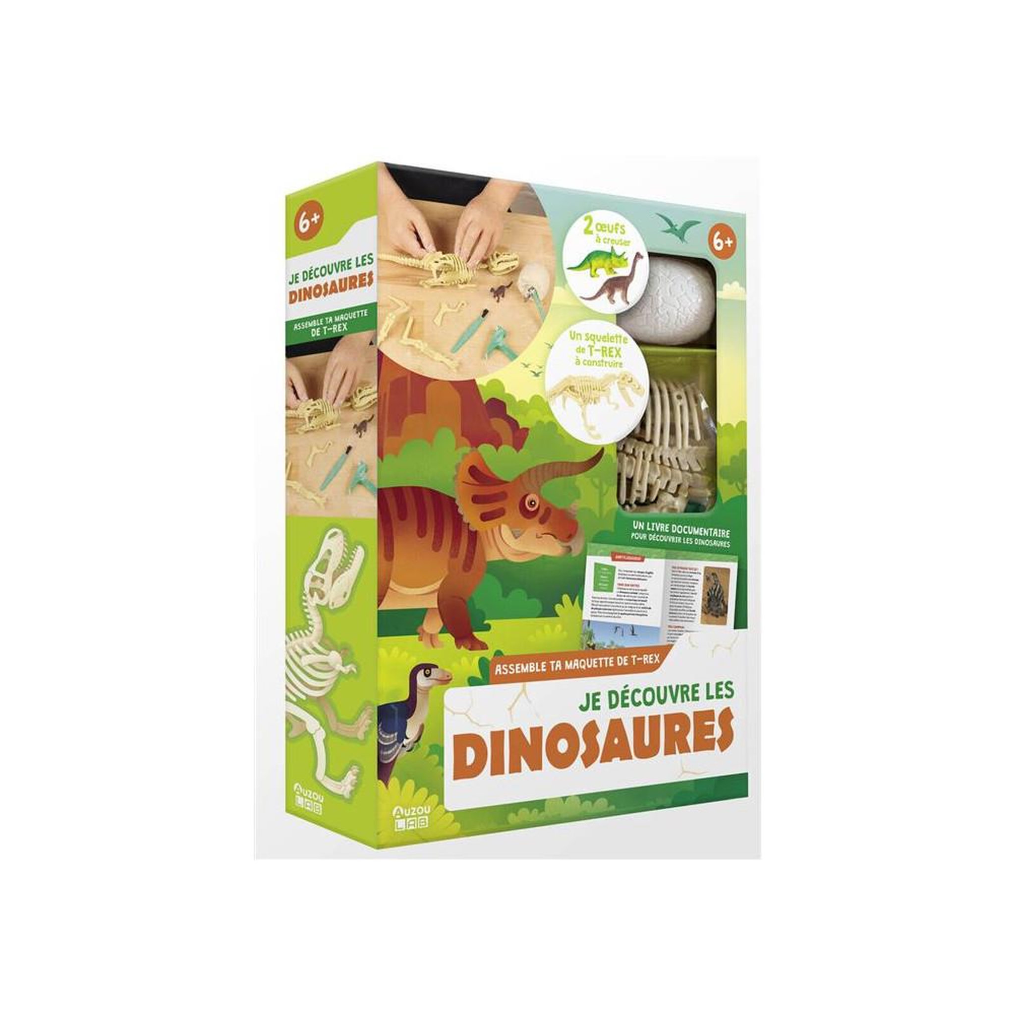 Kit d'activités je découvre les dinosaures : assembler un squelette et déterrer 2 dinos en œufs d'argile