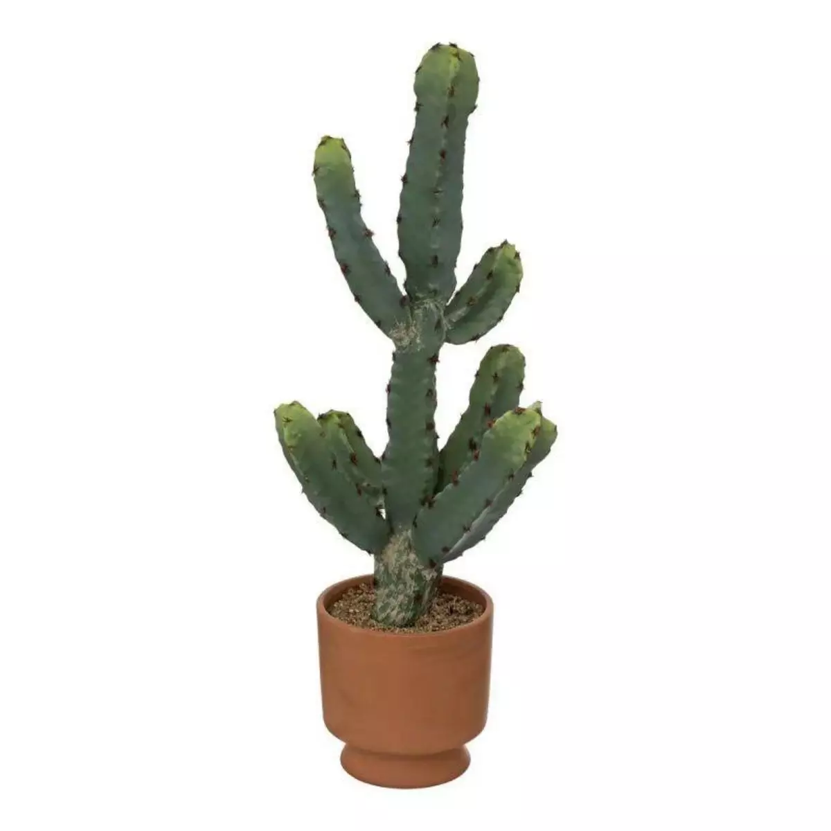  Plante Artificielle Cactus  Alicante  49cm Vert