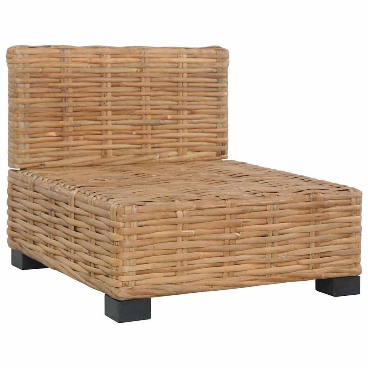 VIDAXL Canape sans accoudoirs avec coussins Rotin naturel