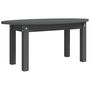 Voir la diapositive 2 : VIDAXL Table basse Gris 80x40x35 cm Bois massif de pin