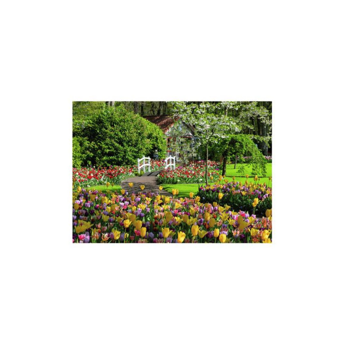 RAVENSBURGER Ravensburger - Jigsaw puzzle Keukenhof Gardens, 1000 pcs. 12000851 4