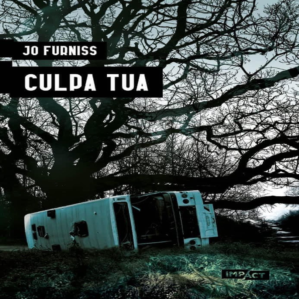 CULPA TUA, Furniss Jo