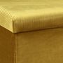 Voir la diapositive 2 : The Home Deco Factory Coffre banc pliable design velours Giulia