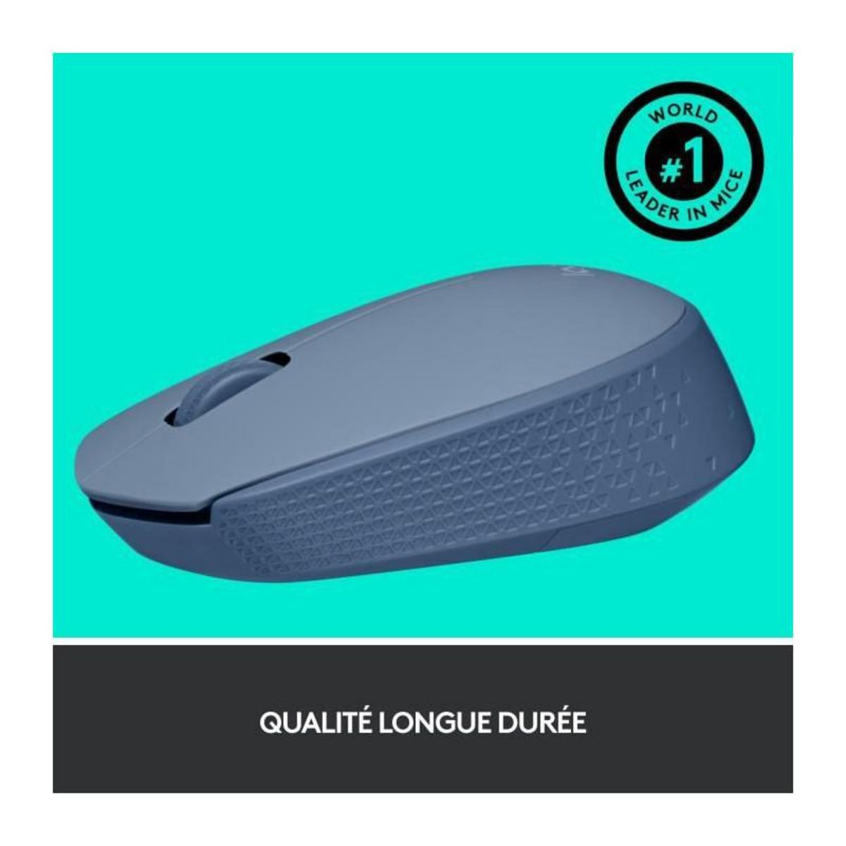 Logitech Logitech M171 Souris Sans Fil 2,4 GHz avec Mini-récepteur USB, Suivi Optique, Ambidextre - Bleu Gris