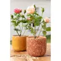 Paris Prix Plante Artificielle en Pot  Rosier  39cm Rose