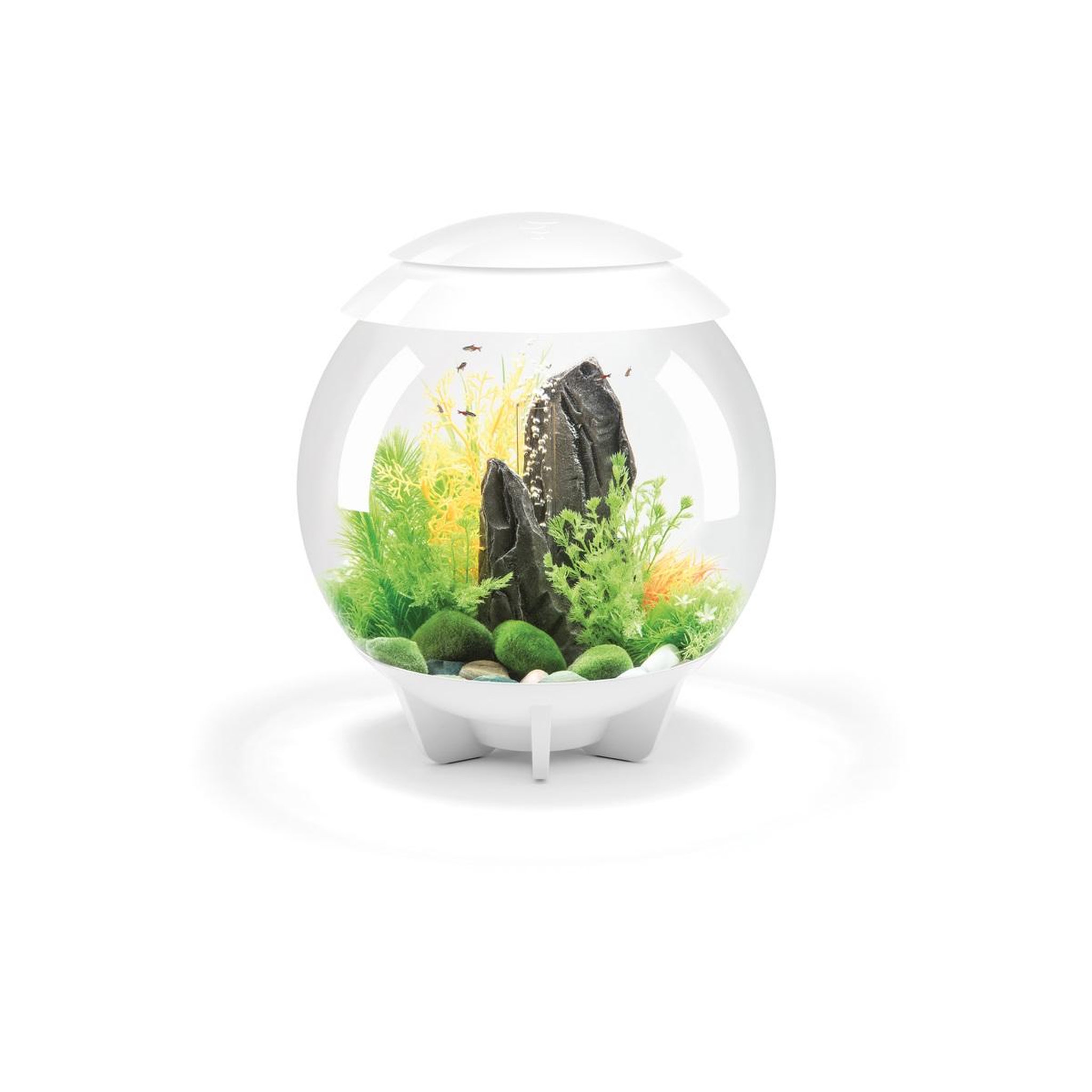 Oase Aquarium décoratif 30l blanc - HALO 30 MCR WHITE