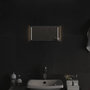 Voir la diapositive 1 : VIDAXL Miroir de salle de bain a LED 20x40 cm