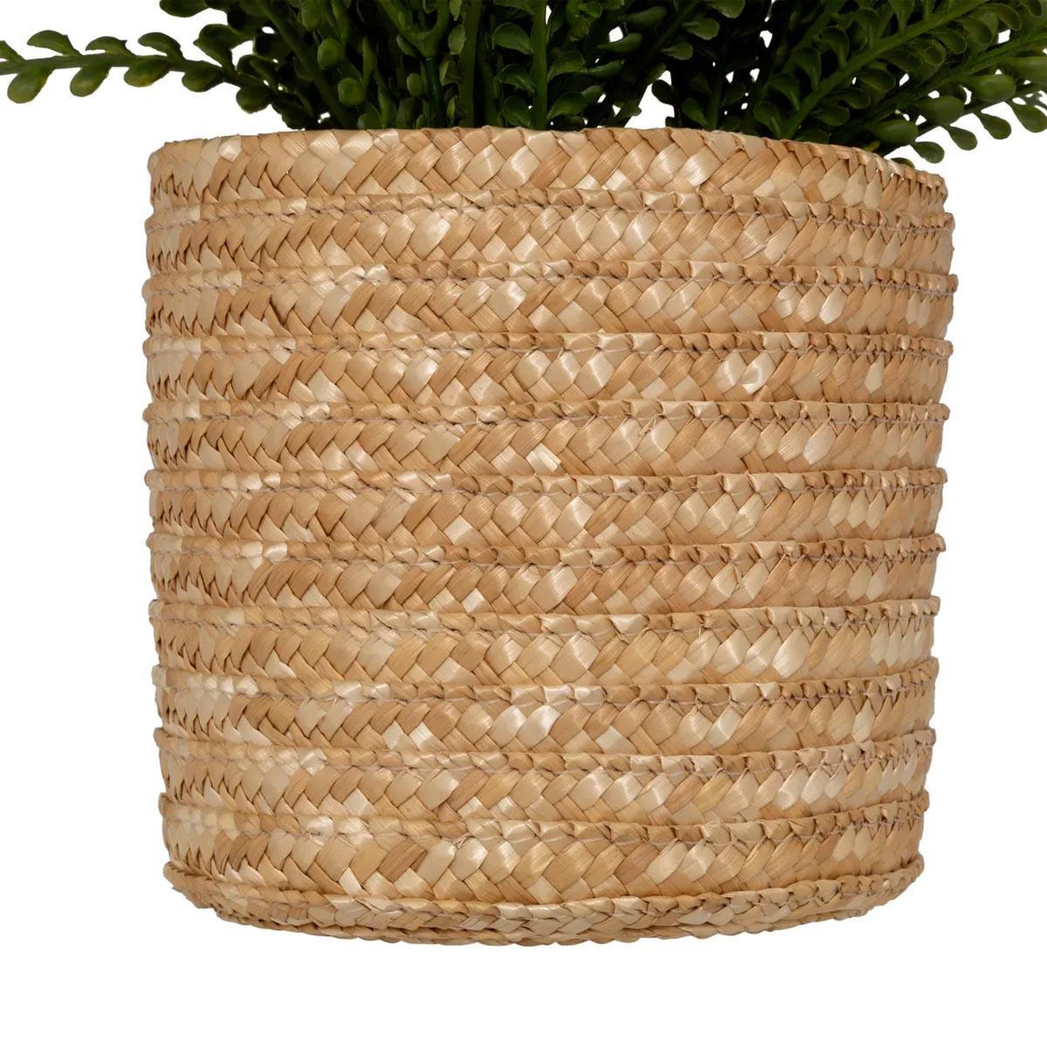 Voir la diapositive 3 : ATMOSPHERA Fougère artificielle en pot  clemy  30cm vert