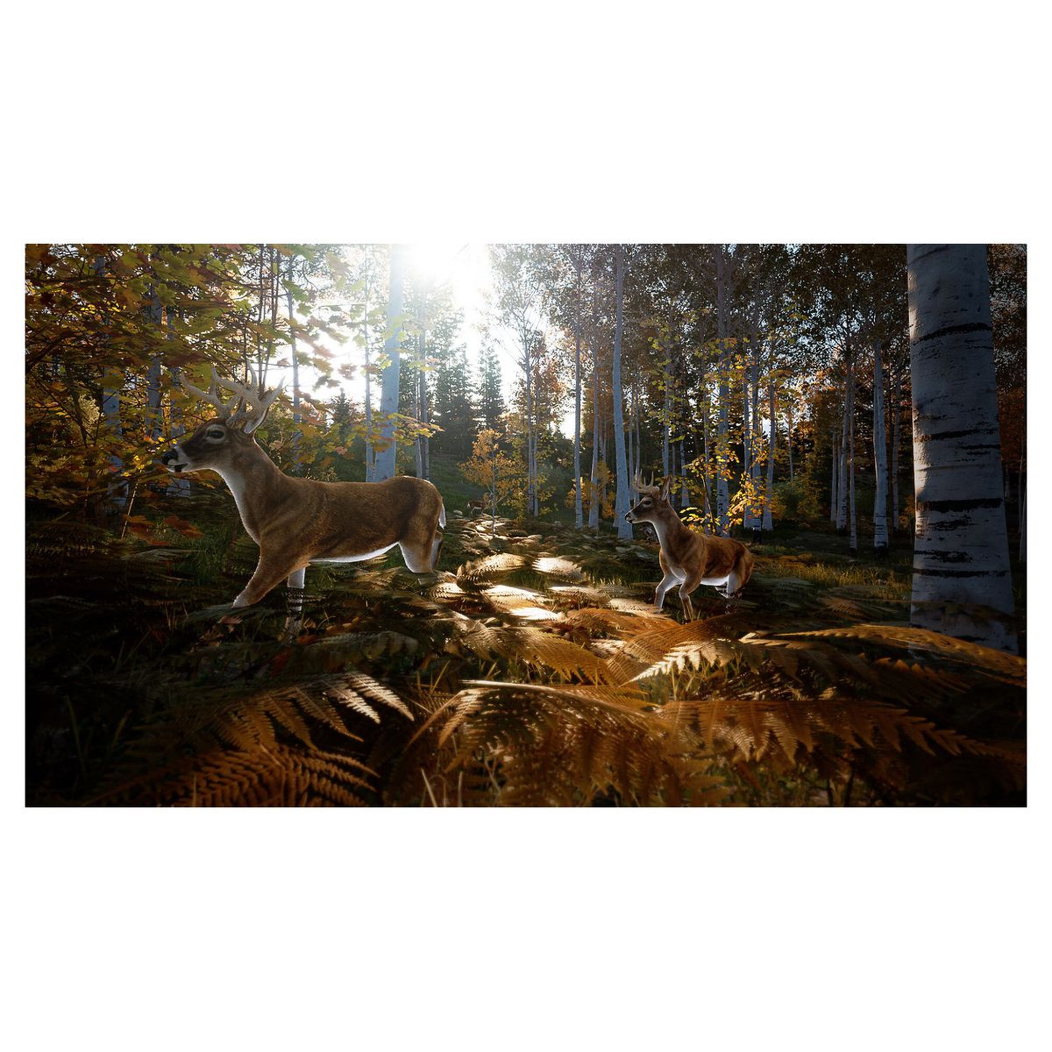 Voir la diapositive 4 : Hunting Simulator 2 PS5