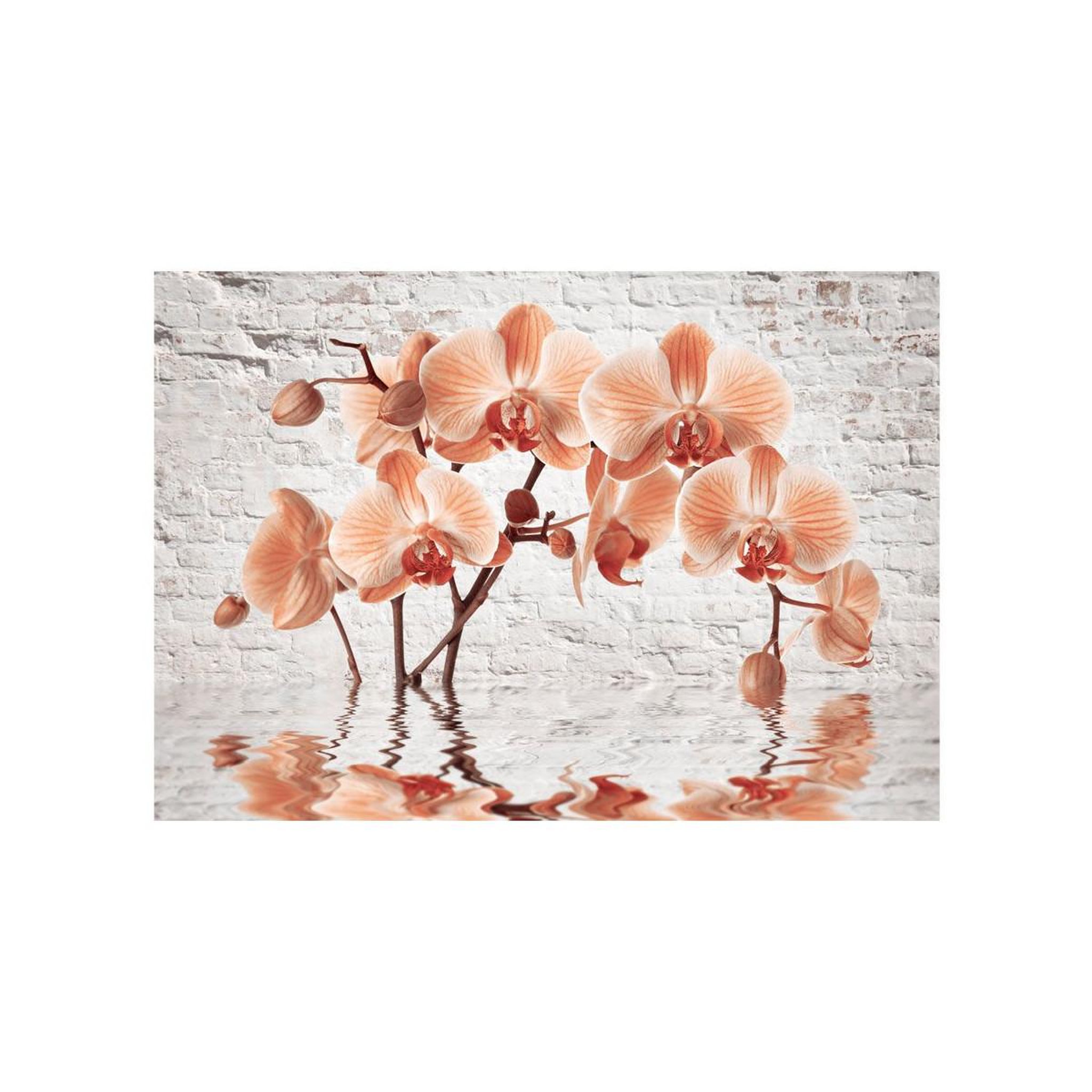 Voir la diapositive 2 : Paris Prix Papier peint  the orange arc