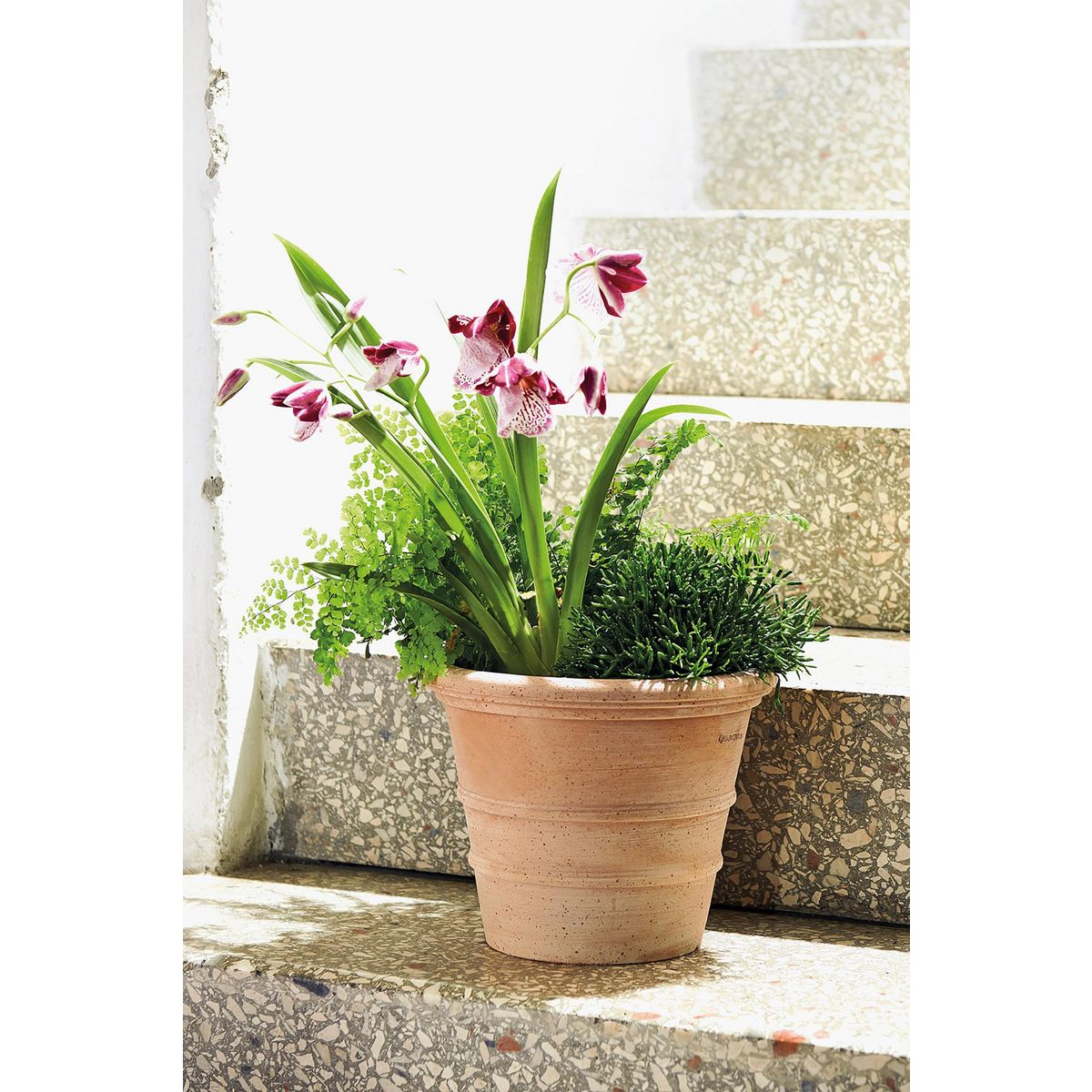 Pot en terre cuite - Siena Toscana - 23cm