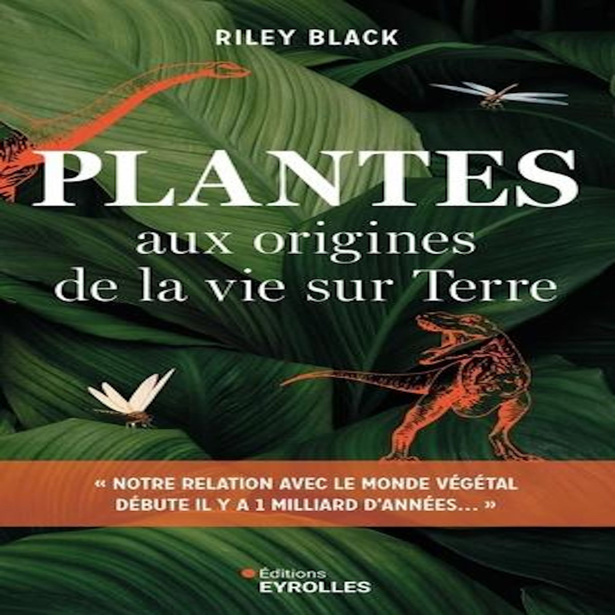 PLANTES. AUX ORIGINES DE LA VIE SUR TERRE, Black Riley