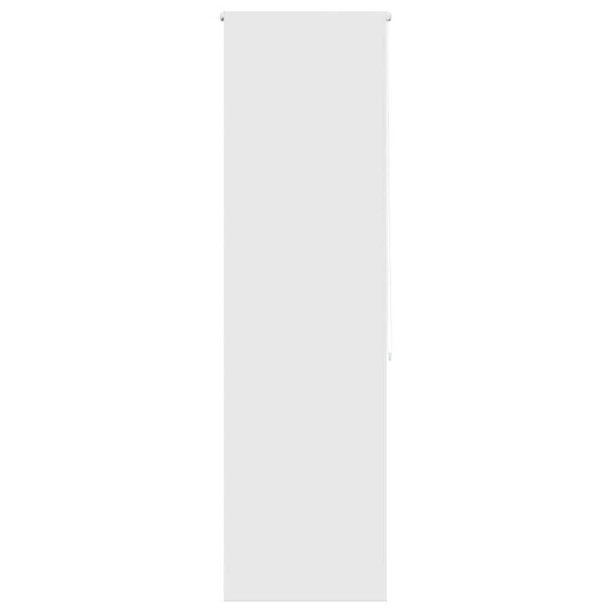 VIDAXL Store enrouleur de douche 60x240 cm largeur du tissu 56 cm