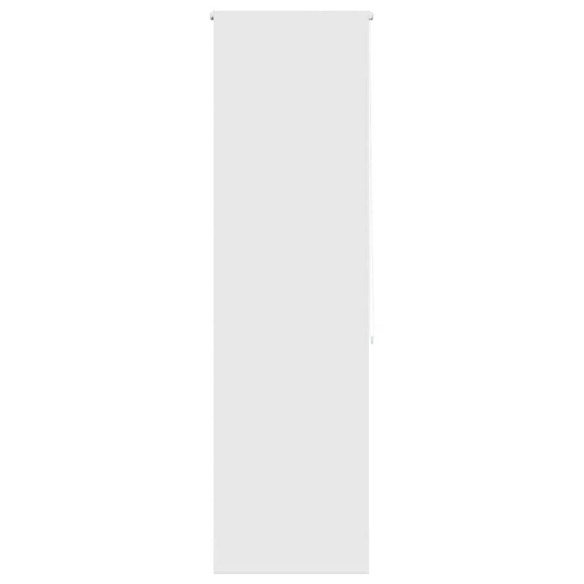 VIDAXL Store enrouleur de douche 60x240 cm largeur du tissu 56 cm