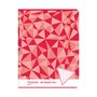 AUCHAN Cahier piqué 17x22cm 48 pages grands carreaux Seyes rouge motif triangles