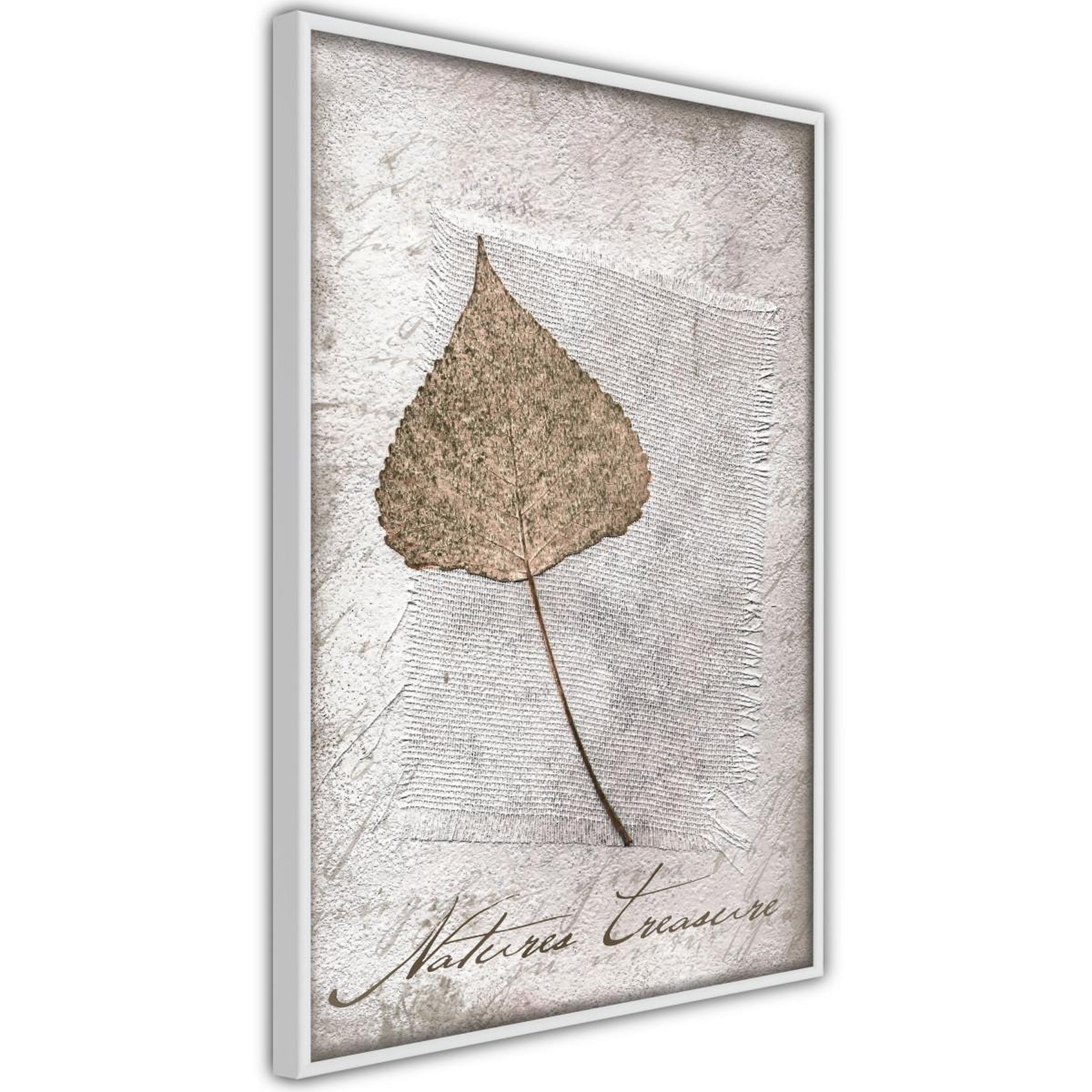 Paris Prix Affiche murale encadrée  dried leaf