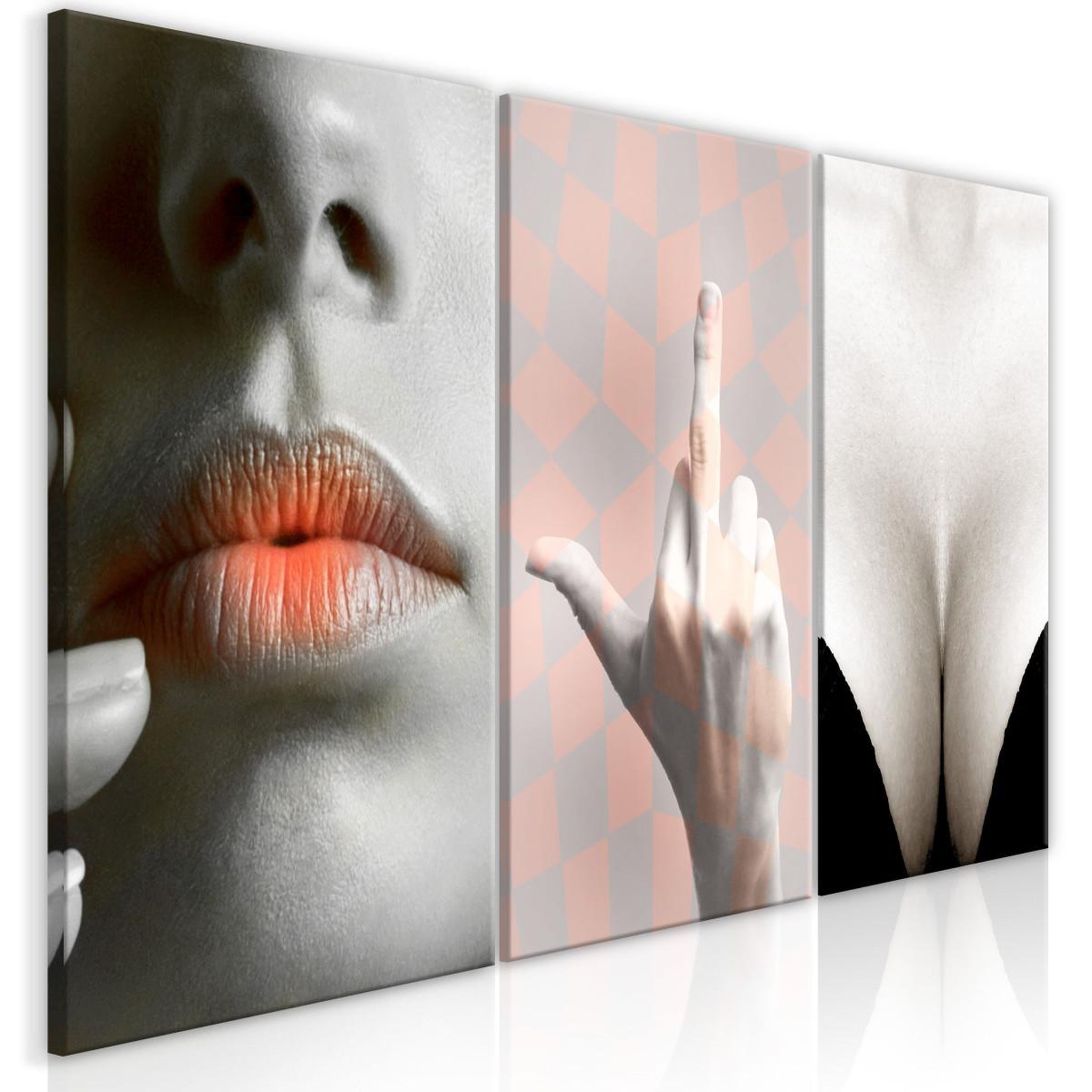 Paris Prix Tableau imprimé  femininity 3 panneaux  60x120cm