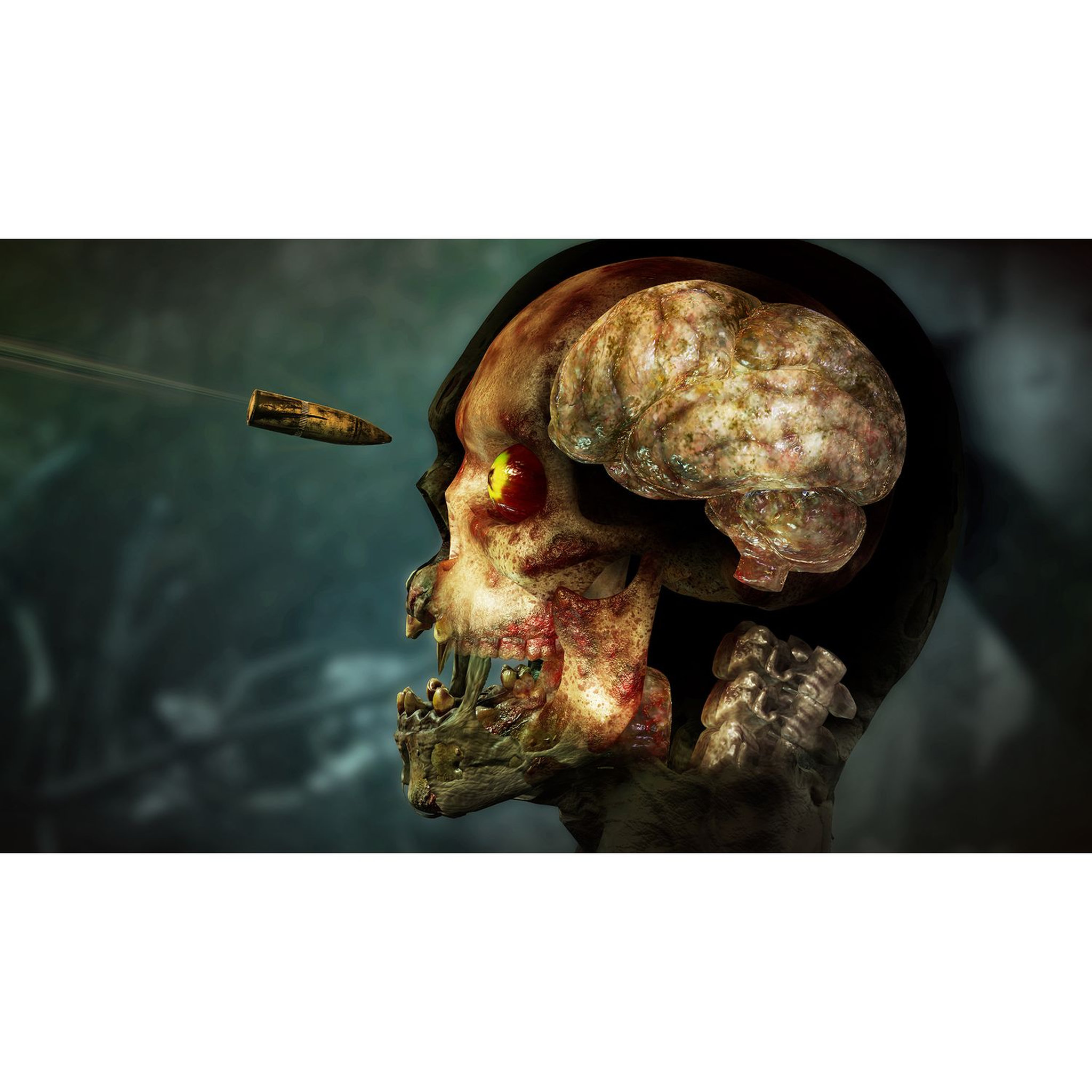 Voir la diapositive 2 : Zombie Army 4: Dead War PS4