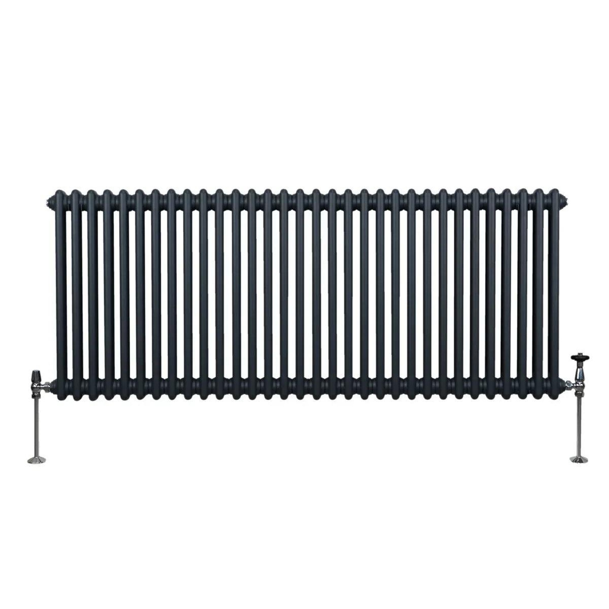 Voir la diapositive 2 : MONSTERSHOP Radiateur traditionnel à 2 colonnes – 600 x 1462 mm