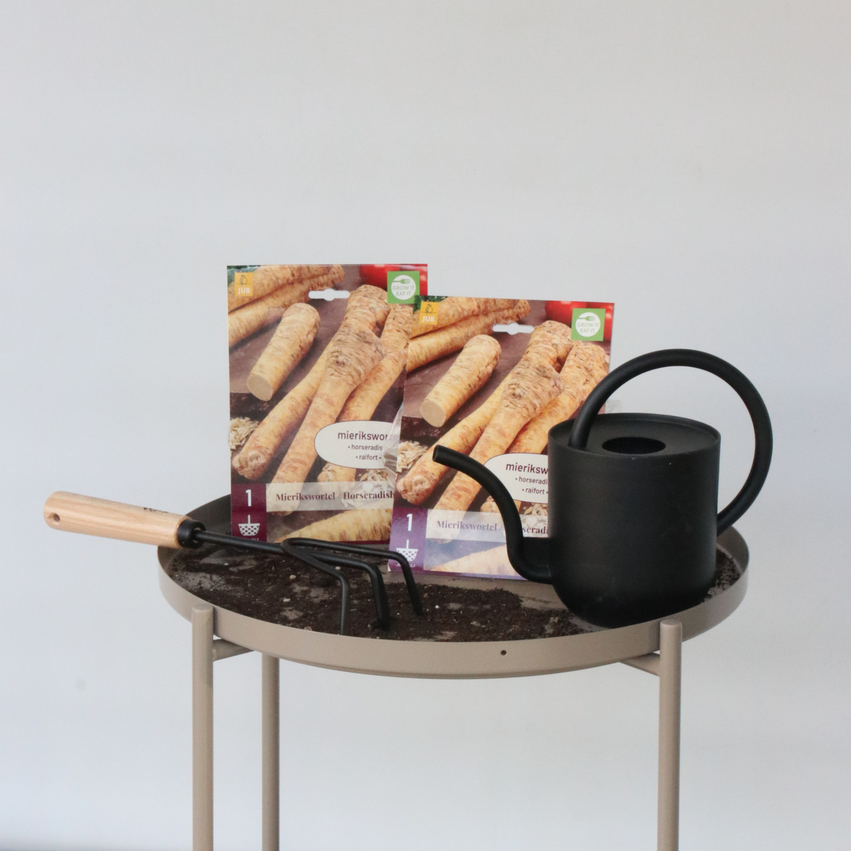 PLANT IN A BOX Raifort - Set de 2 - Armoracia rusticana - Rhizomes - Groen