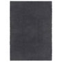 Voir la diapositive 1 : VIDAXL Tapis rectangulaire Anthracite 160x230 cm Coton