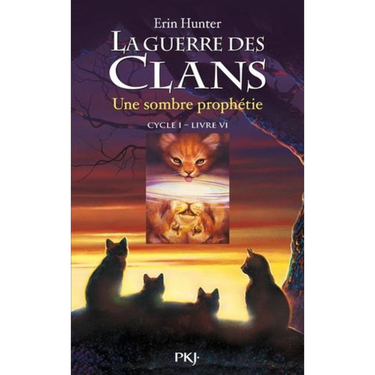 LA GUERRE DES CLANS (CYCLE 1) TOME 6 : UNE SOMBRE PROPHETIE, Hunter Erin